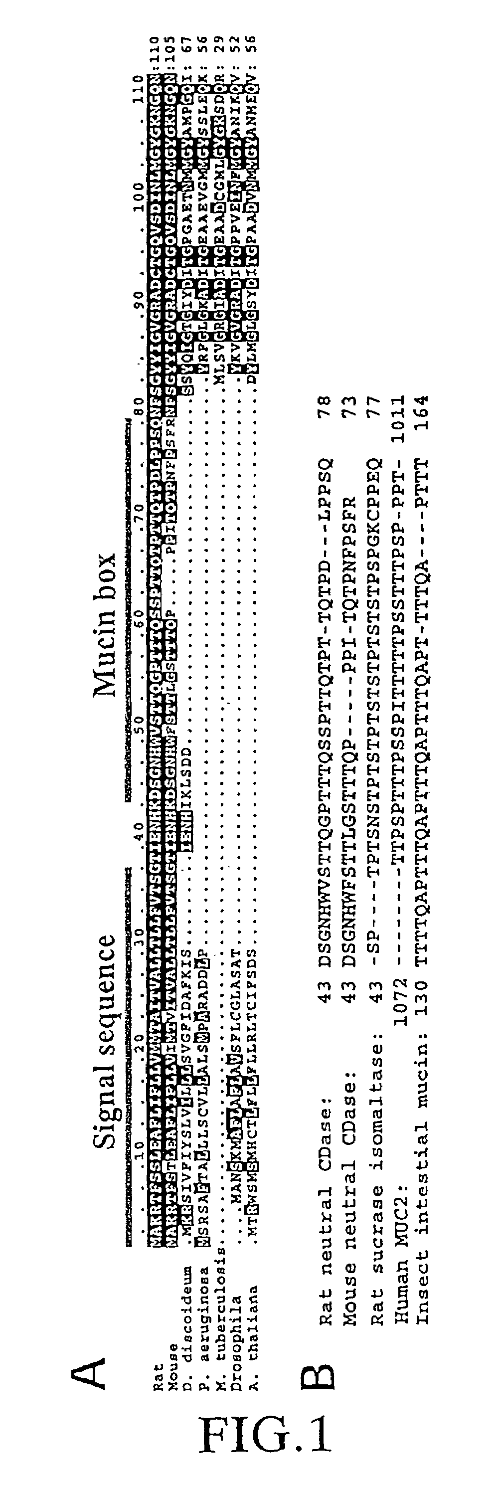 Method for localizing polypeptide on cell surface