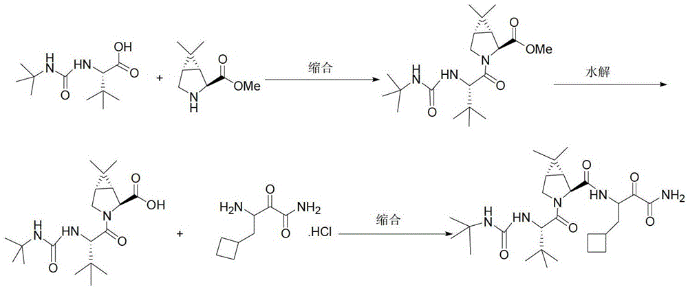 Intermediate III of anti-hepatitis C drug boceprevir and its preparation method and application