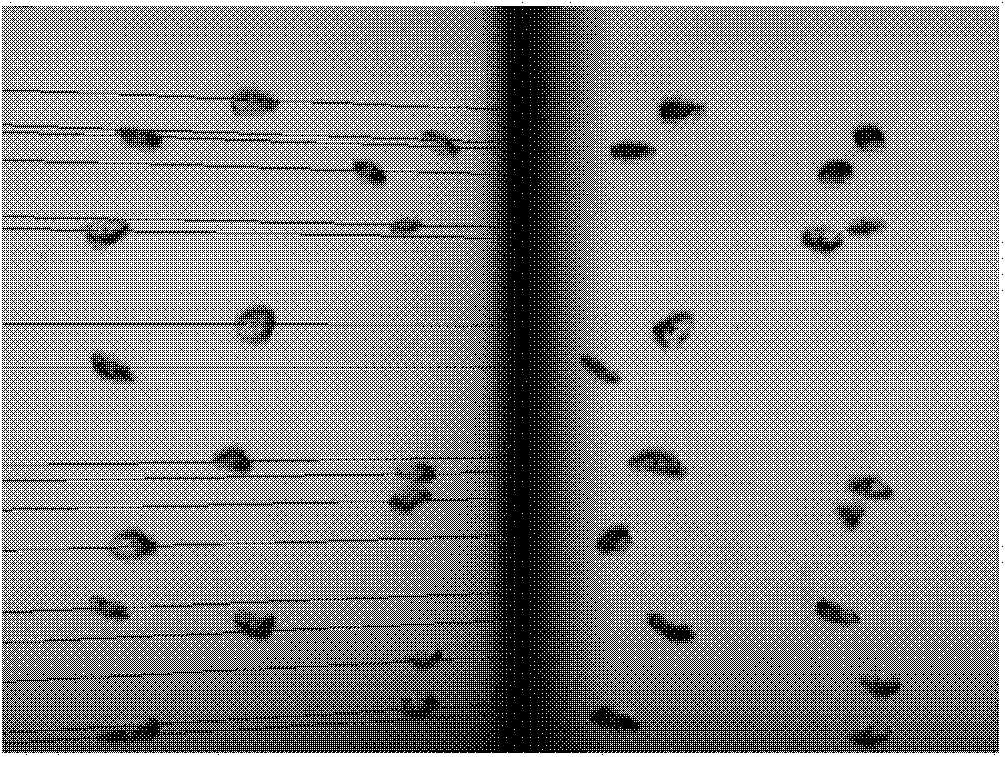 Dual-view angle multiple bubble corresponding point matching method based on multi-dimensional threshold value constraint