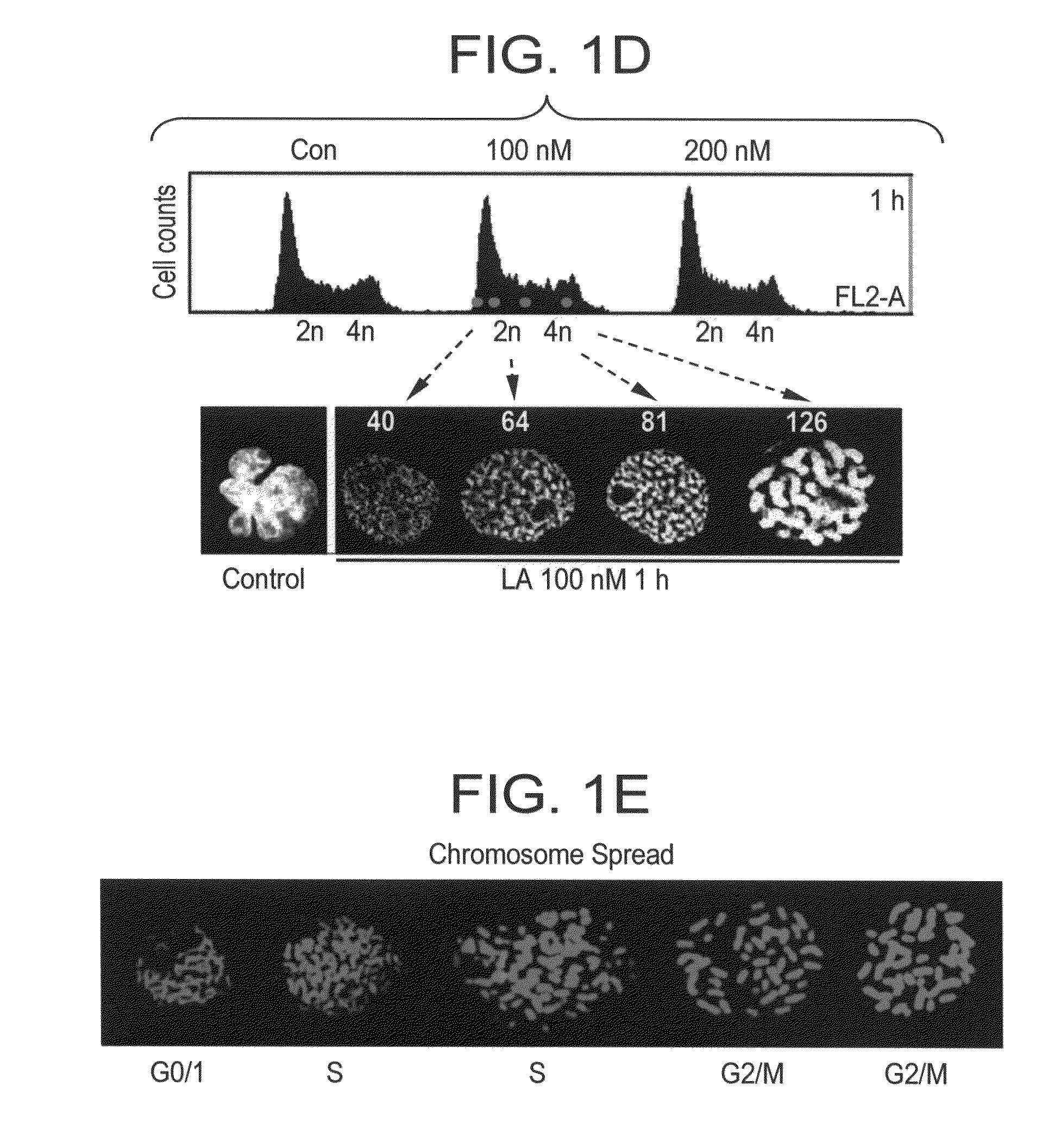 Lasonolide compounds as reagents for inducing premature chromosome condensation and methods for treating disorders