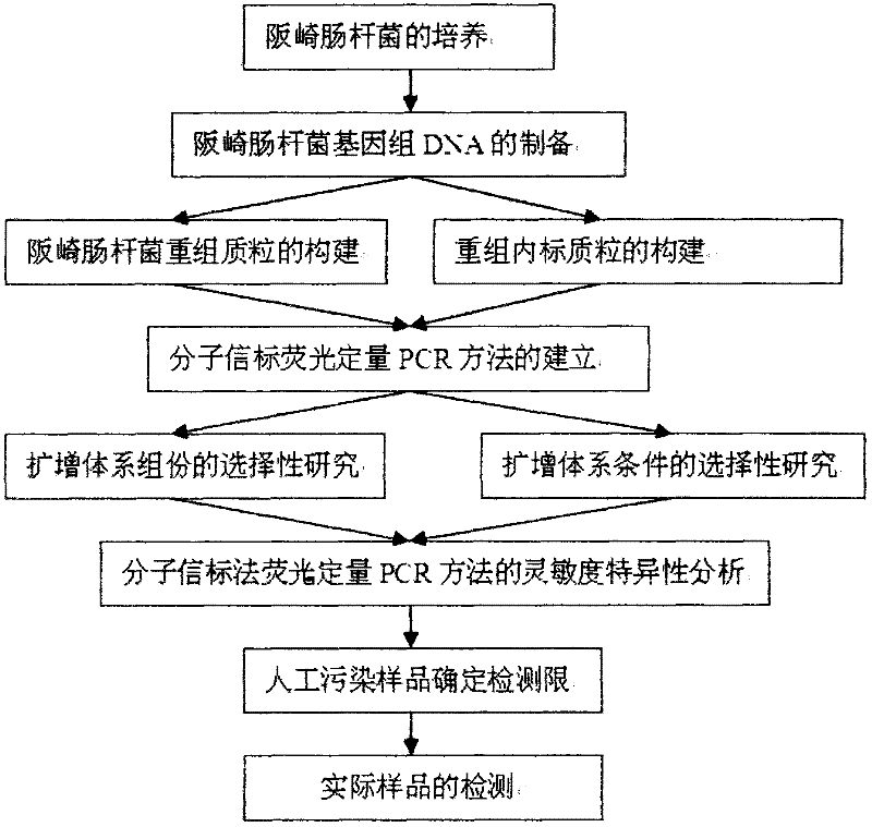 PCR (Polymerase Chain Reaction) method and kit for quickly detecting Enterobacter sakazakii in baby formula