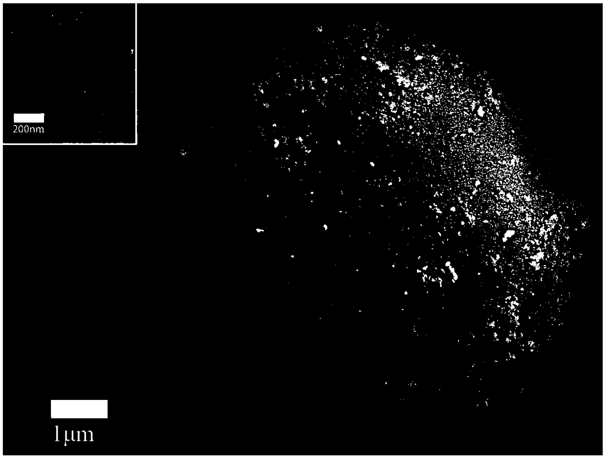 Phytate nanoparticle coated stain-removal compound abradant and preparation method and application thereof
