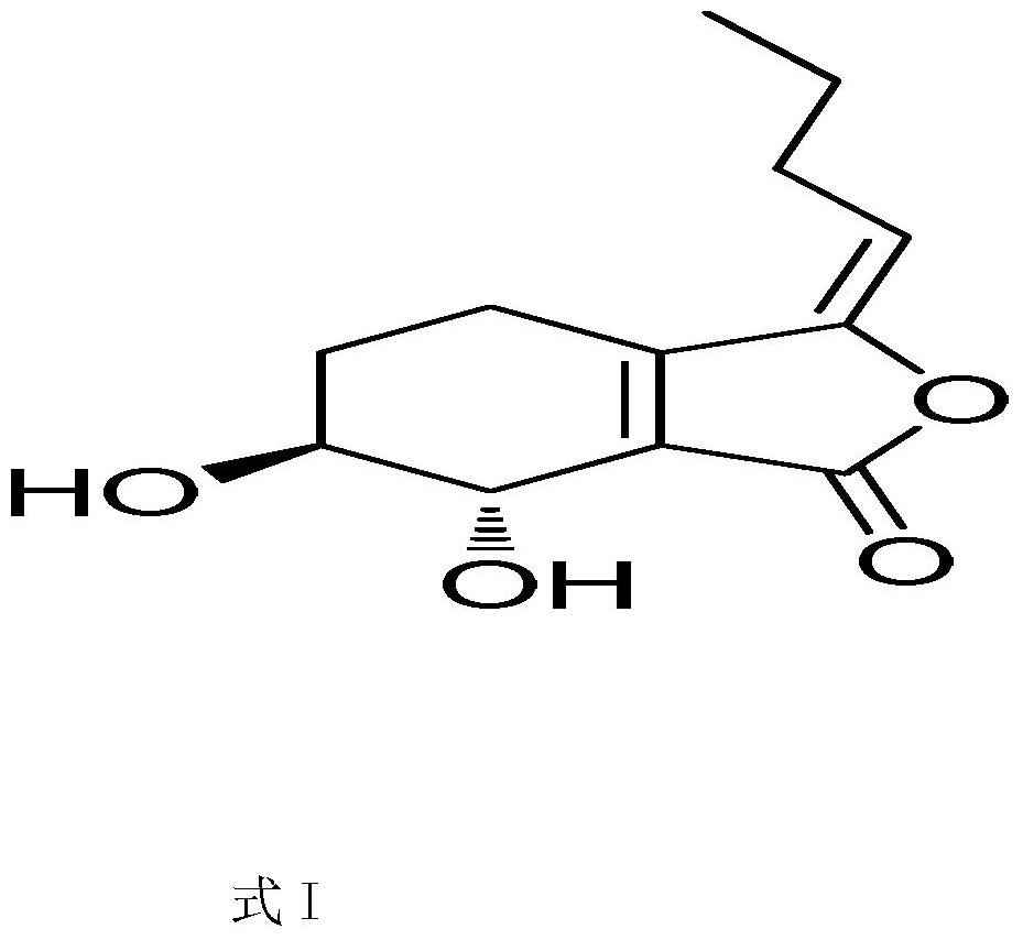 Application of phthalide compounds in the preparation of anti-drug-resistant bacteria drugs