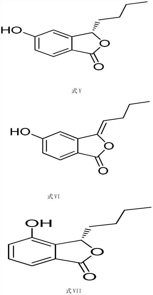 Application of phthalide compounds in the preparation of anti-drug-resistant bacteria drugs