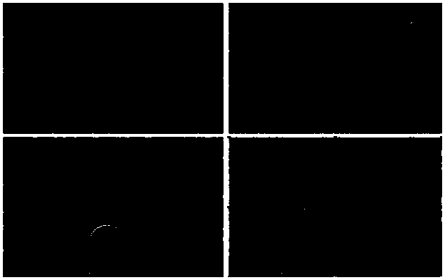 Method for preparing liquid metal nano-particles and method for preparing lithium ion batteries