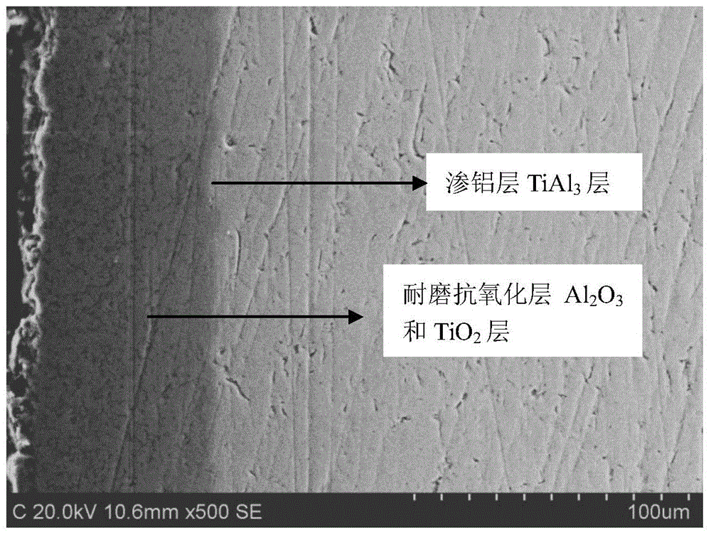 Titanium and titanium alloy surface antioxidant wear-resistant composite coating and manufacturing method thereof