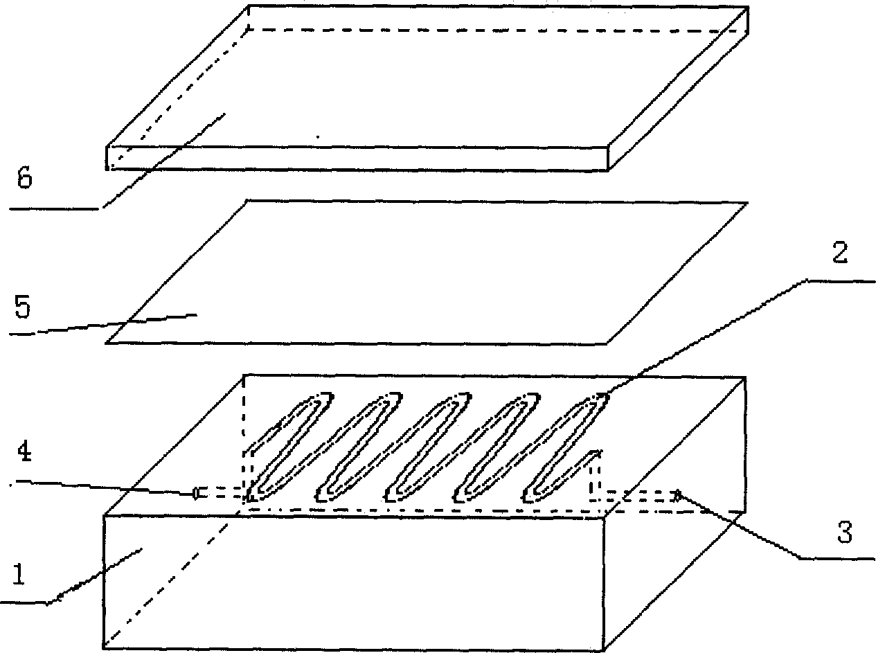 Trace amount gold separated enriching lumination detection device and method