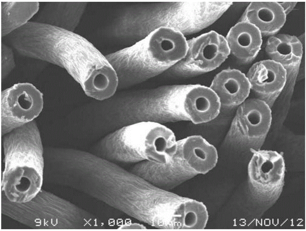 Polyacrylonitrile preoxidized fiber skin-core structure detection method