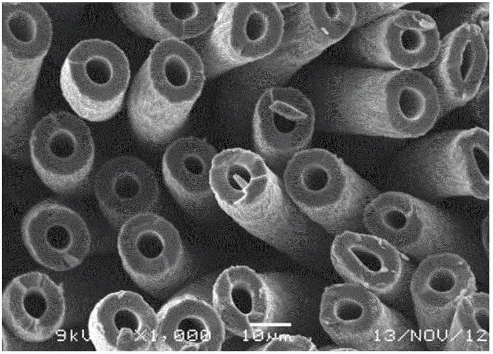 Polyacrylonitrile preoxidized fiber skin-core structure detection method