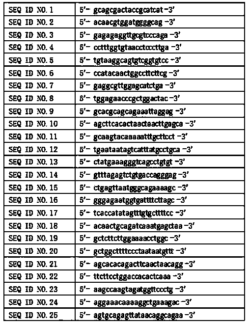 Amplification and sequencing primers and kit for mutation detection of all coding regions of gene of androgen receptor