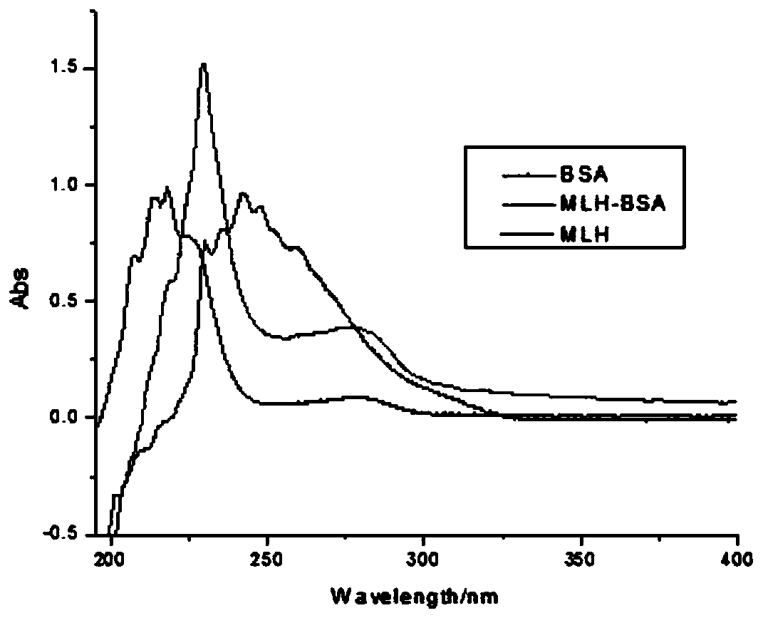 Malathion hapten and preparation method thereof, and malathion artificial antigen