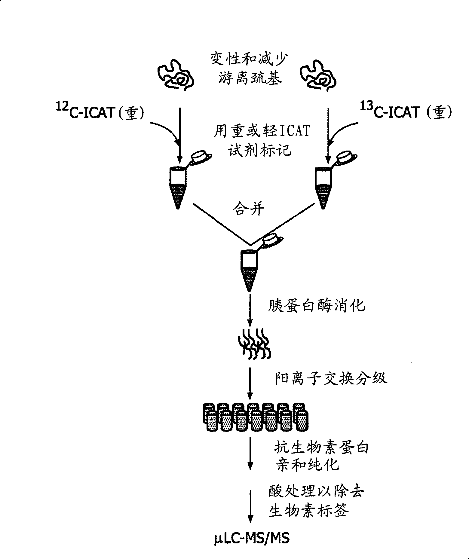 Compounds and methods for double labelling of polypeptides to allow multiplexing in mass spectrometric analysis