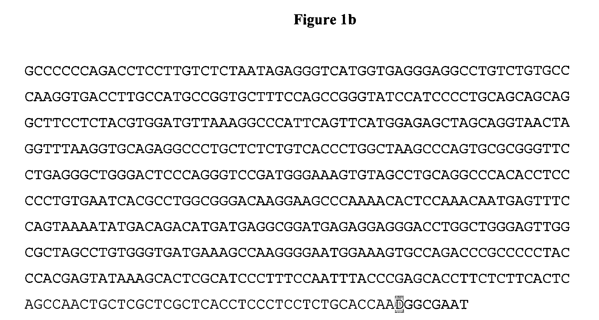 Human skin equivalents expressing exogenous polypeptides