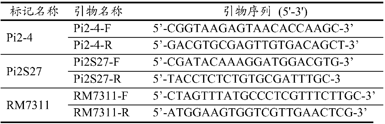 Rice genome recombinant nucleic acid fragment RecCR012070 and detection method thereof