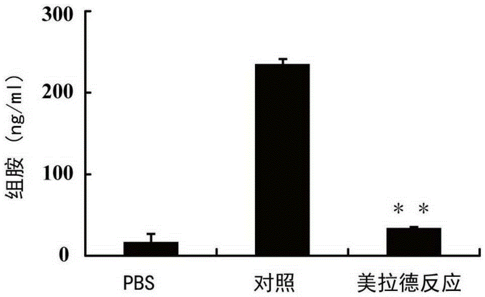 Low-allergenicity fish allergen parvalbumin, and preparation method and application thereof