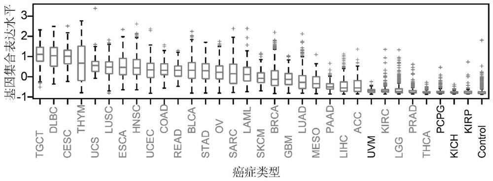 Model for predicting cell proliferation activity by taking 87 genes as biomarkers