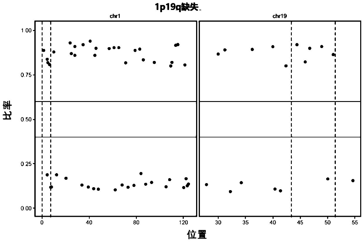 Neuroglioma 1p/19q co-deletion detection system based on next generation sequencing