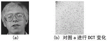 Recognition method in allusion to facial images with different dimensions