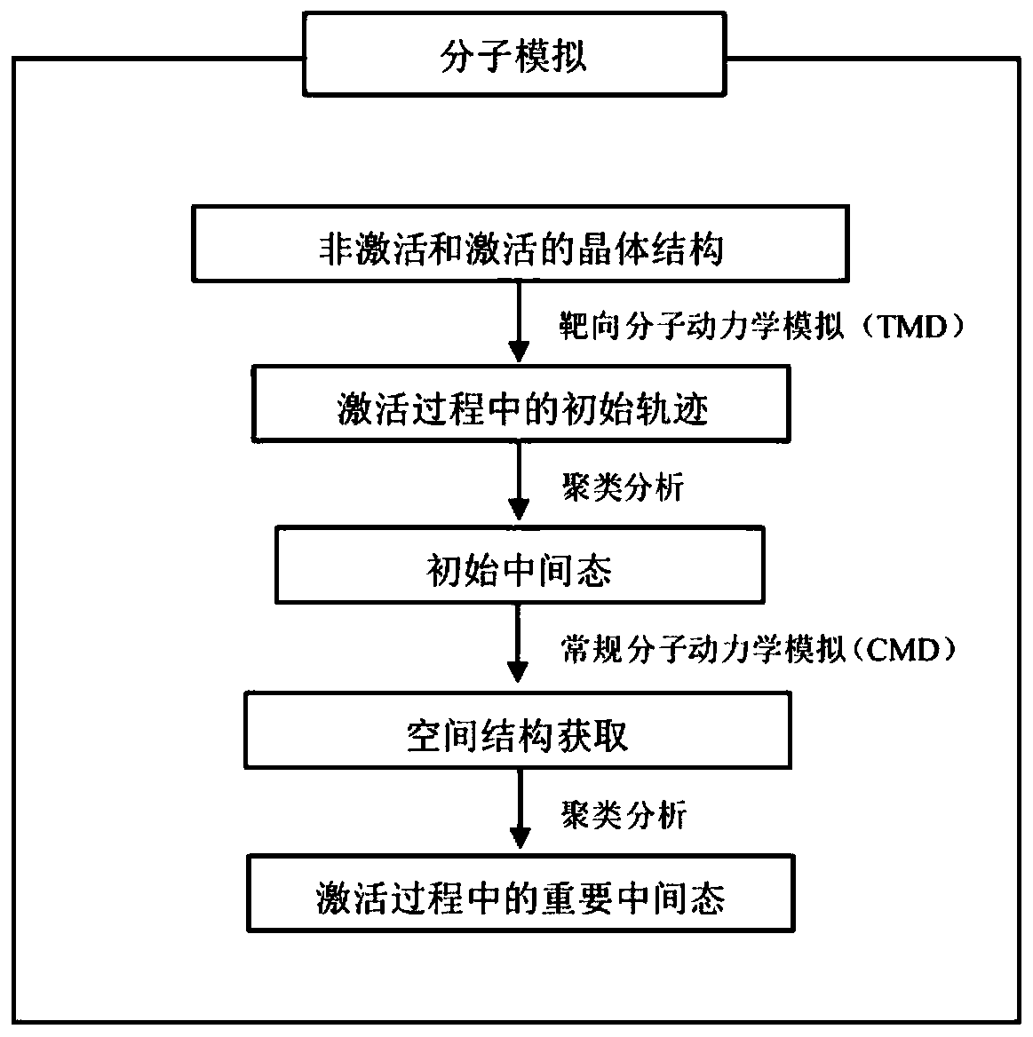 A computer simulation method to obtain the intermediate state structure of G protein-coupled receptors