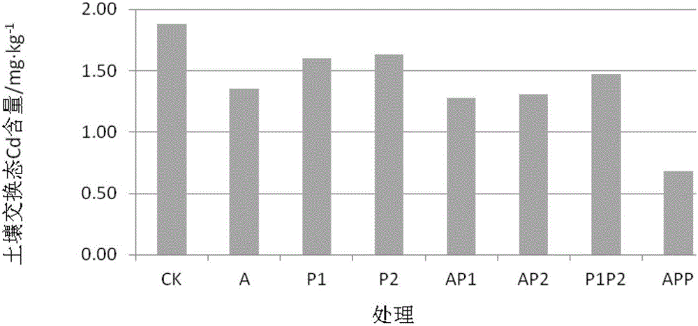 APP combined remediation method for cultivated land heavy metal pollution remediation