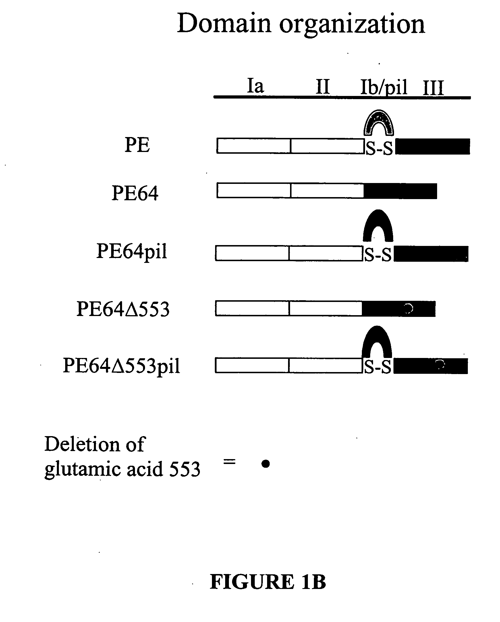Chimeric protein comprising non-toxic pseudomonas exotoxin and type IV pilin sequences