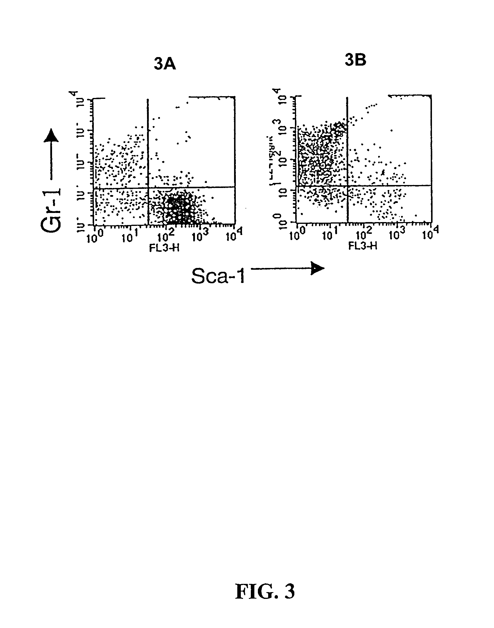 Methods for immortalizing cells