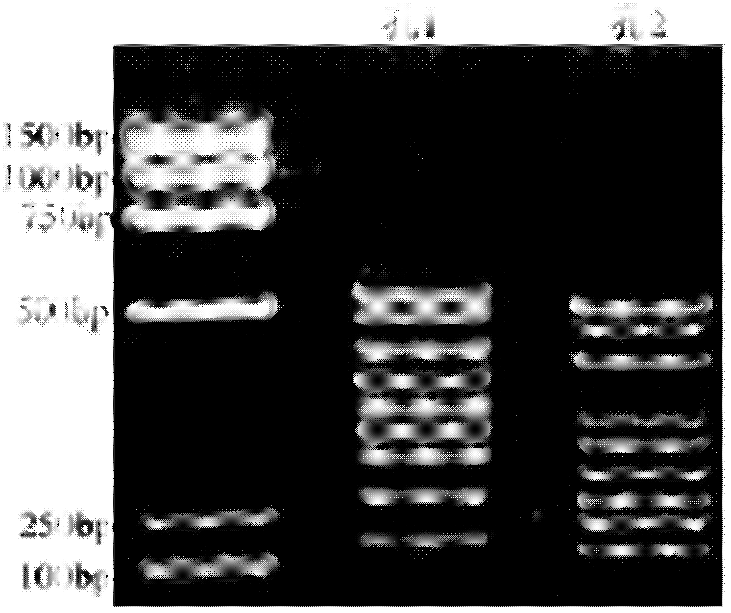 Chip and method for real-time PCR (polymerase chain reaction) gene detection at polygenic mutation site
