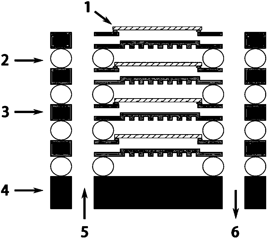 Compressed sealing material for solid oxide fuel cell stack and preparation method of compressed sealing material