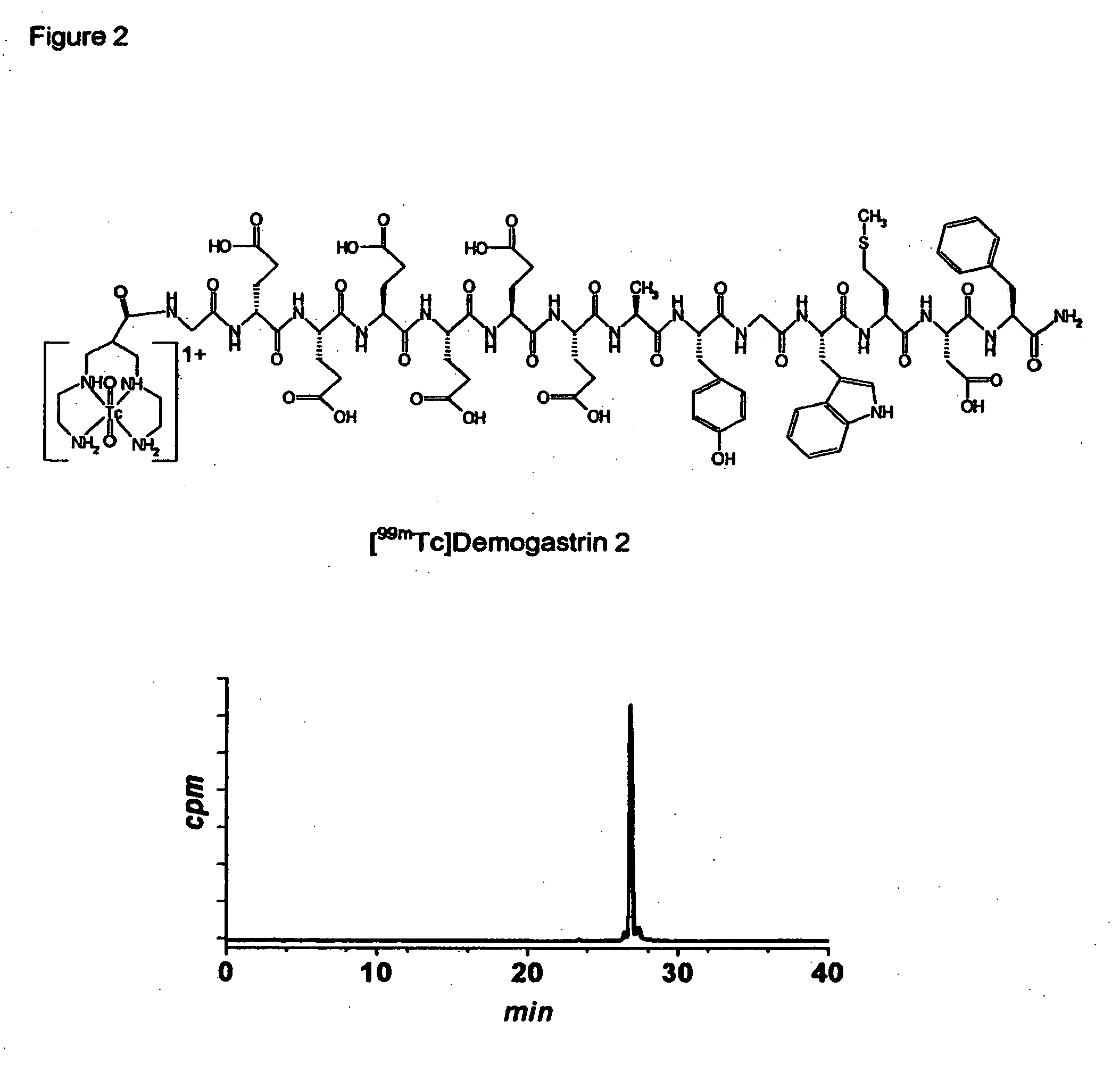 Modified minigastrin analogs for oncology applications