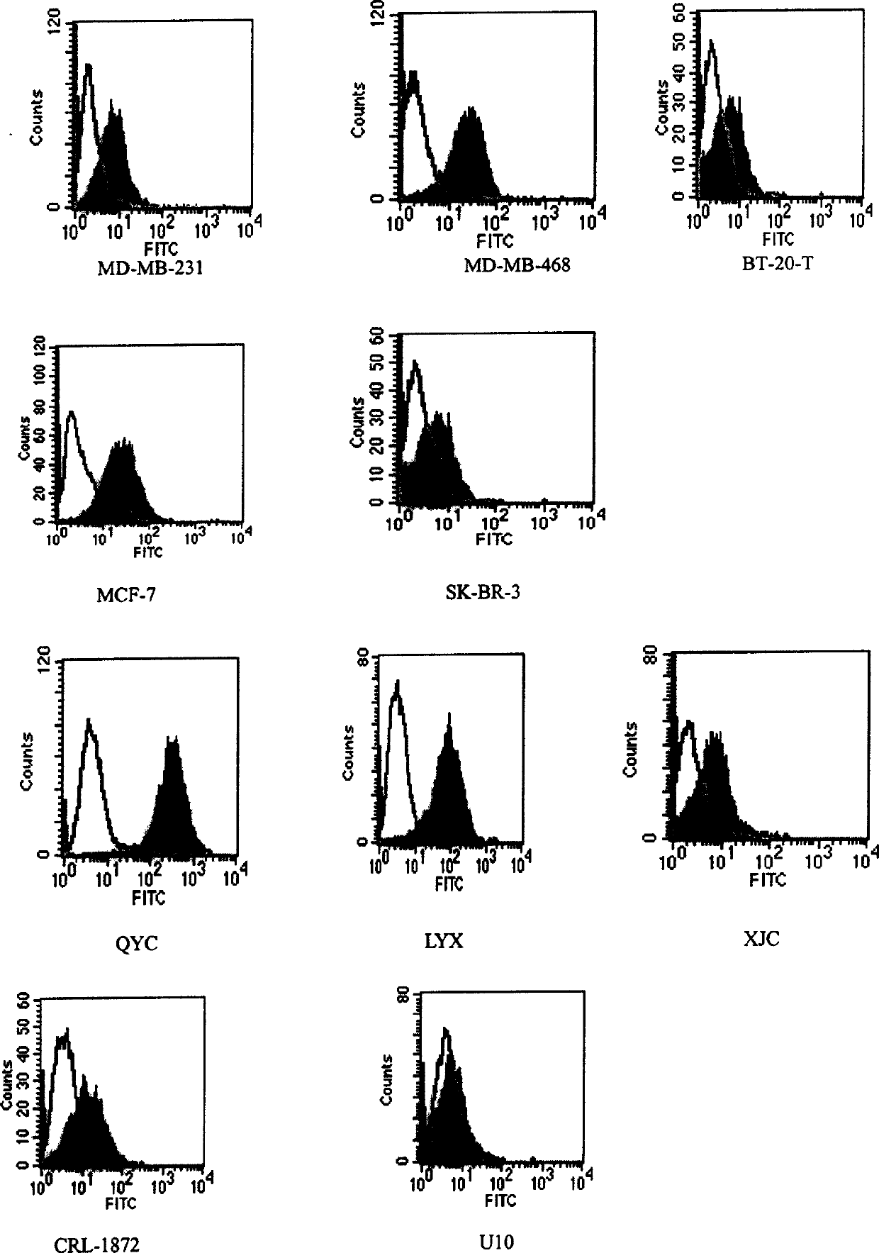 Specific antibody of tumor-associated antigen SM5-1 and use thereof
