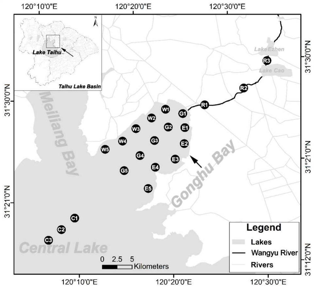 A monitoring point optimization method for lake water ecological effects of water diversion projects