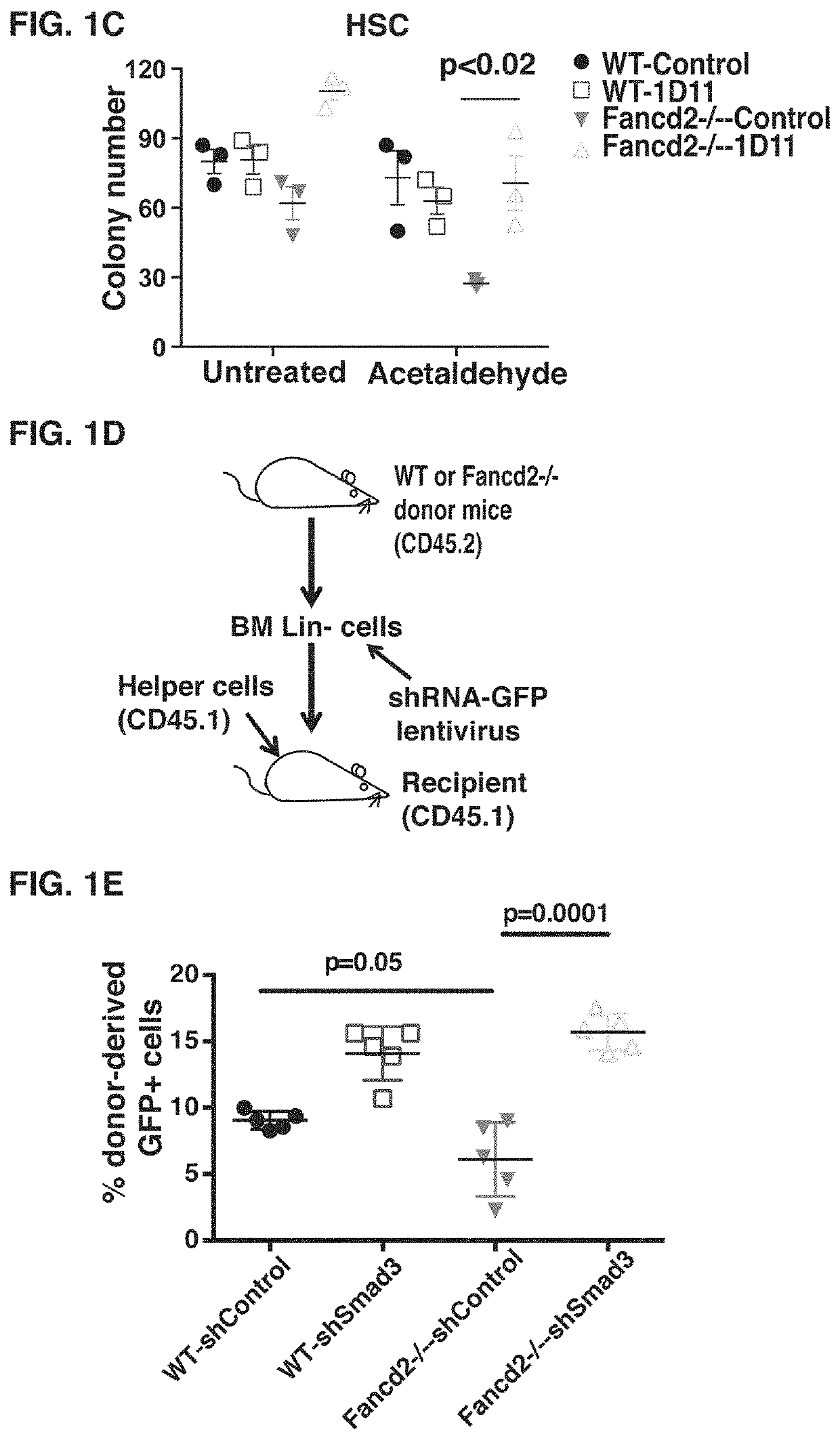 Anti-TGF-beta antibody for the treatment of fanconi anemia