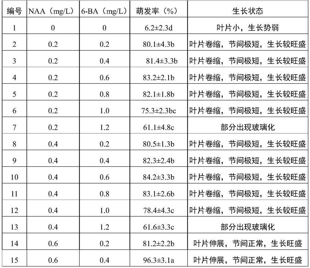Tissue Culture and Rapid Propagation Method of Cherry Plum