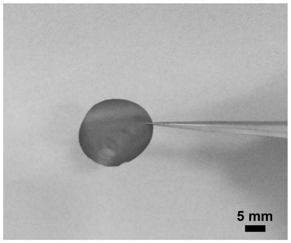 An intelligent responsive graphene-based separation membrane for the separation of mixed molecules and its preparation method