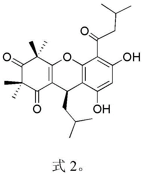 Myrtleone compound and its application in the preparation of antibacterial drugs