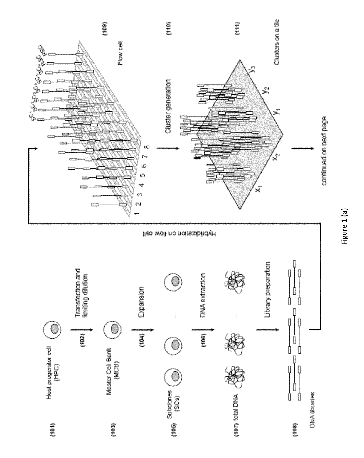 Method for determining cell clonality