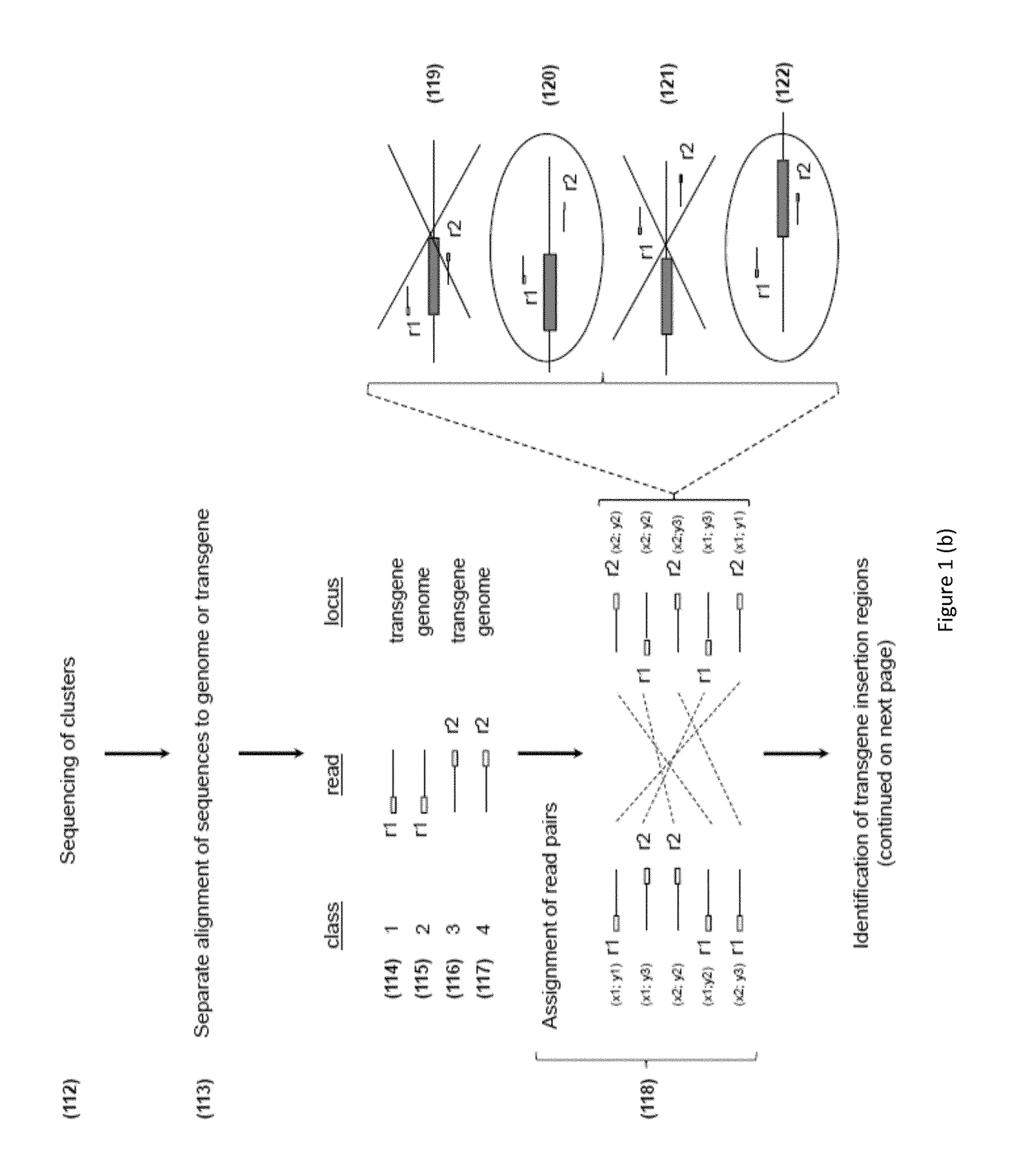 Method for determining cell clonality