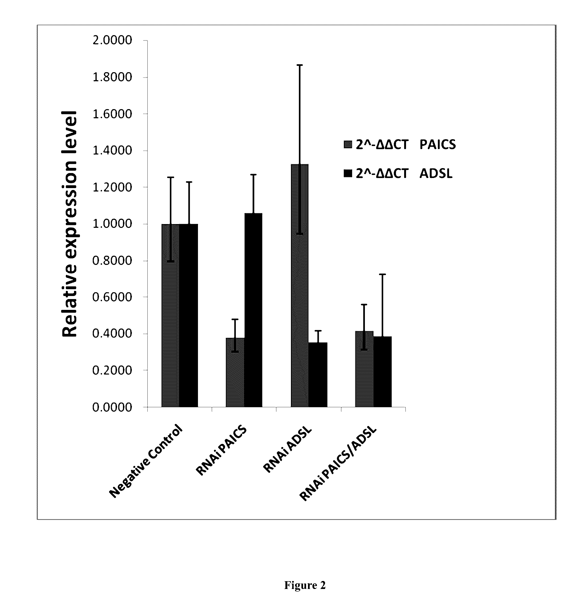 Target point, preparation and method for treating human ADSL deficiency