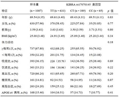 Application of KIBRA rs17070145 detection reagent in preparation of olfactory function evaluation kit