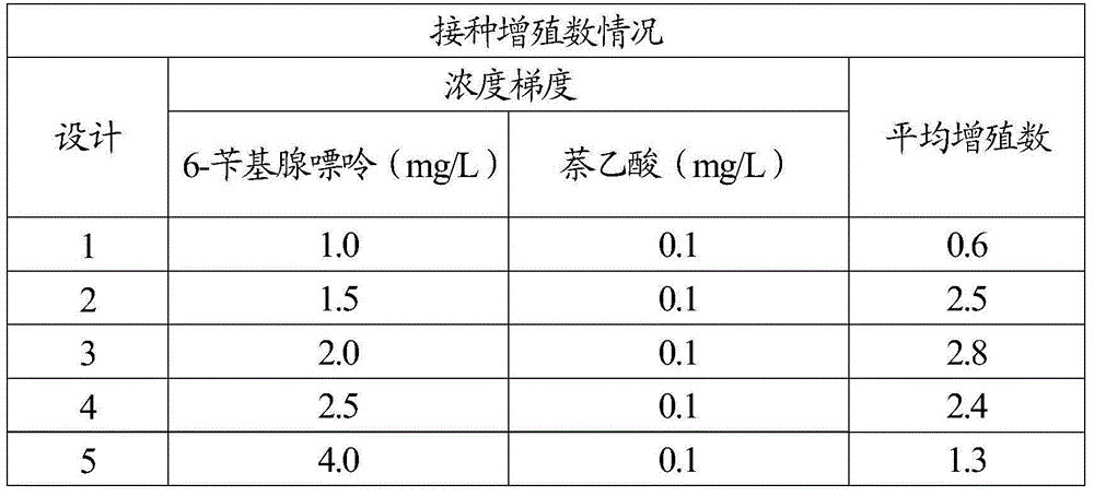 Culture media for tissue culture of red leaf pistacia chinensis, application and culture method