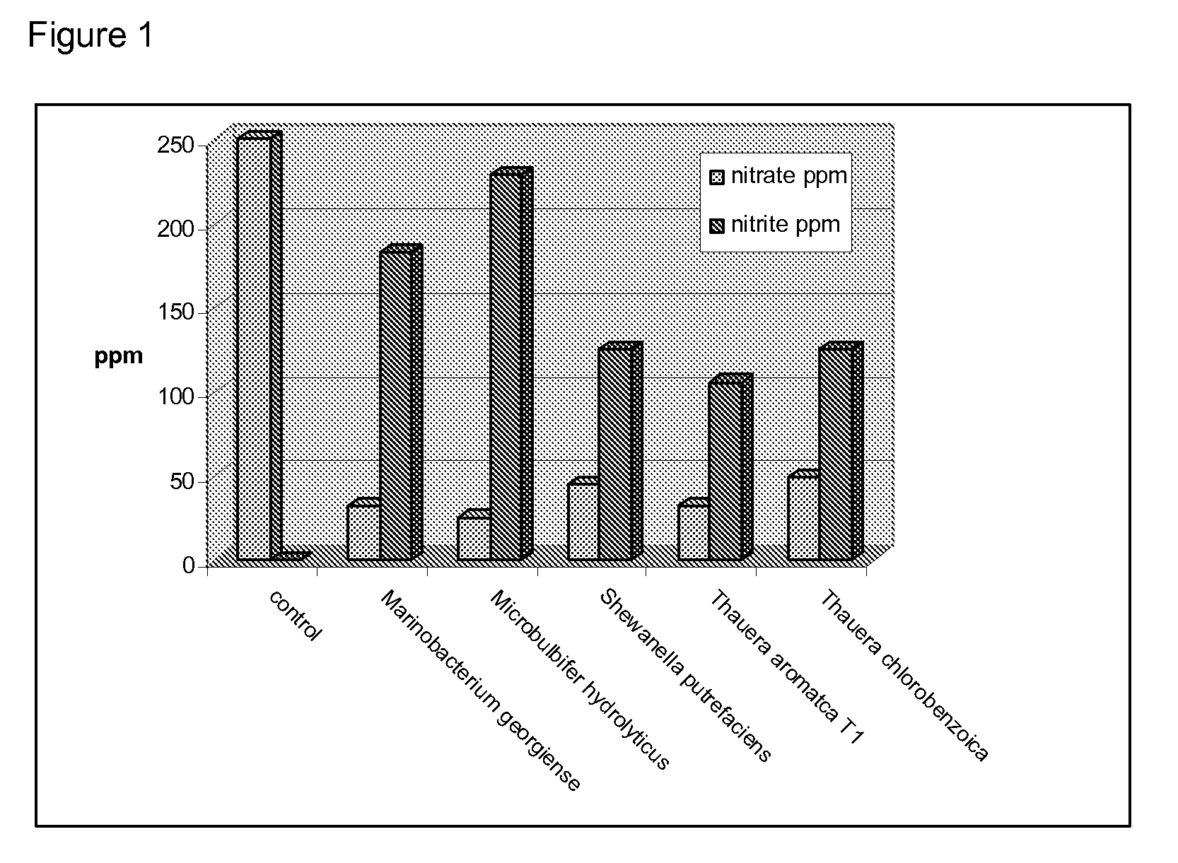 Method for identification of novel anaerobic denitrifying bacteria utilizing petroleum components as sole carbon source