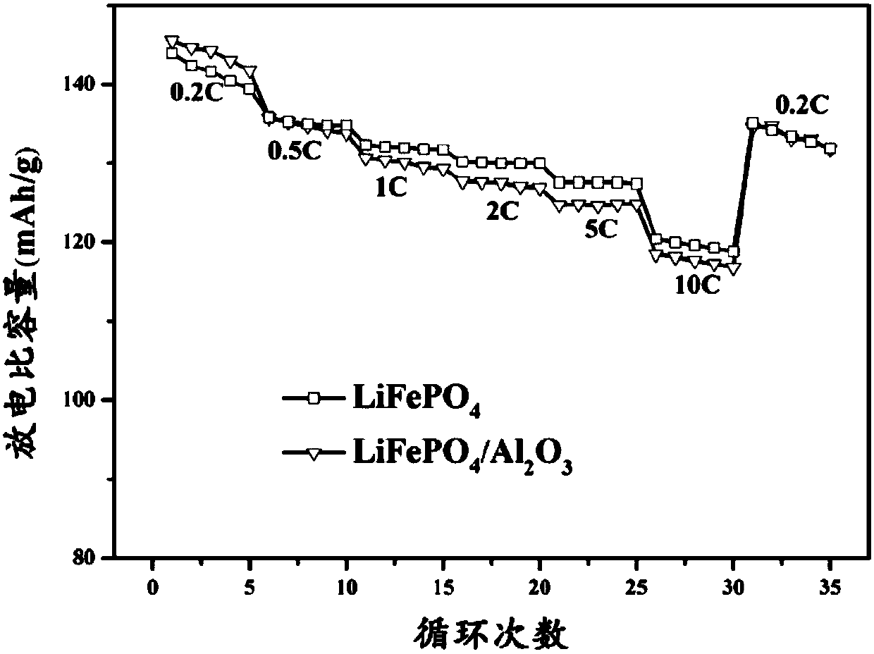 Lithium iron phosphate composite electrode with metal oxide coating layer on surface