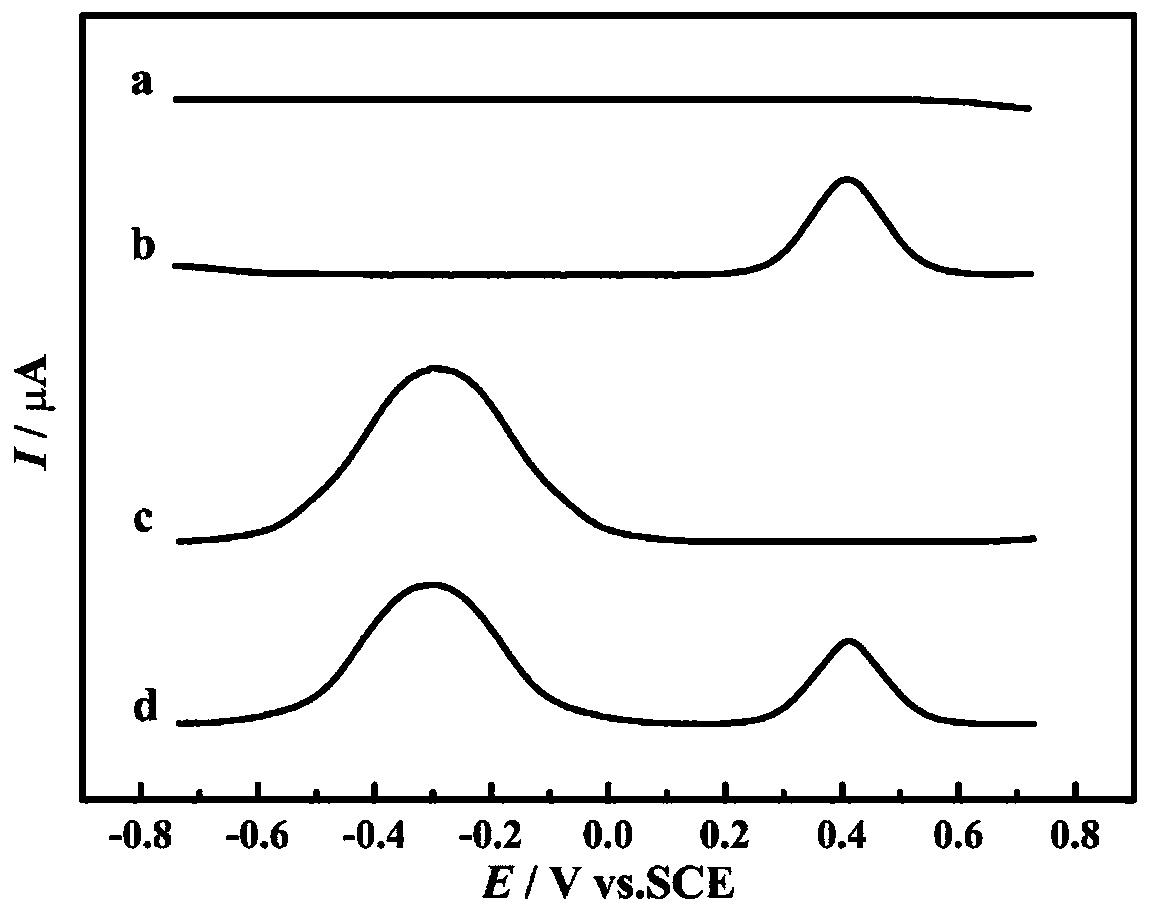 lncrna MEG3 dual detection electrochemical gene sensor, its preparation method and application