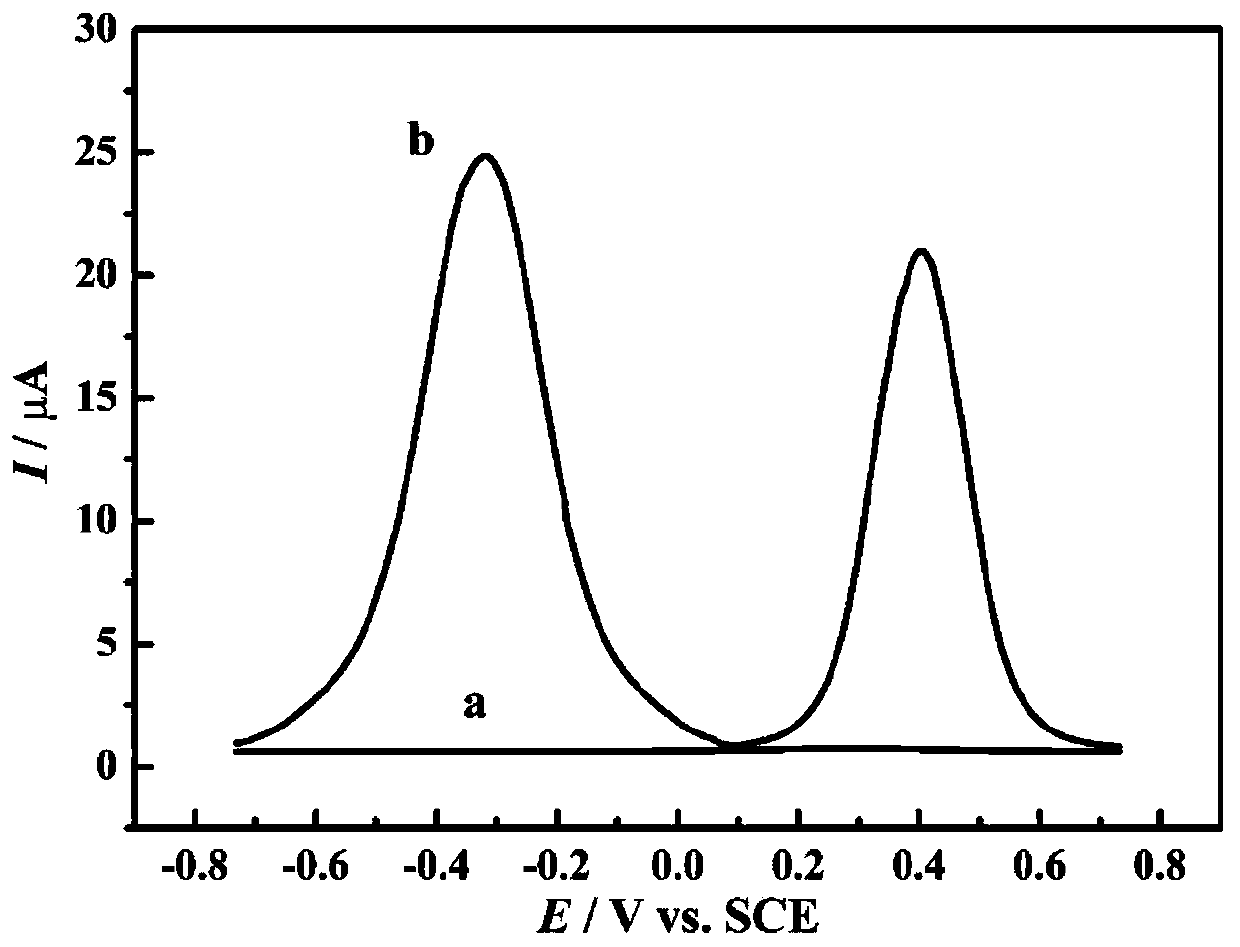 lncrna MEG3 dual detection electrochemical gene sensor, its preparation method and application