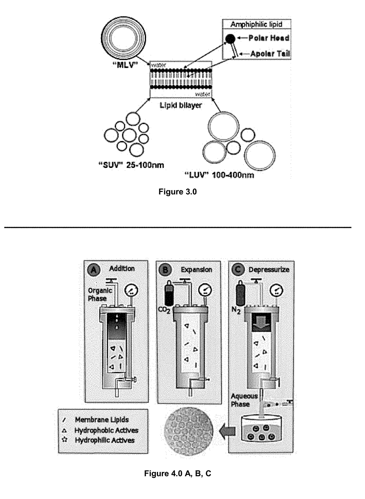 Apparatus and Method for Preparing Cosmeceutical Ingredients Containing Epi-Dermal Delivery Mechanisms