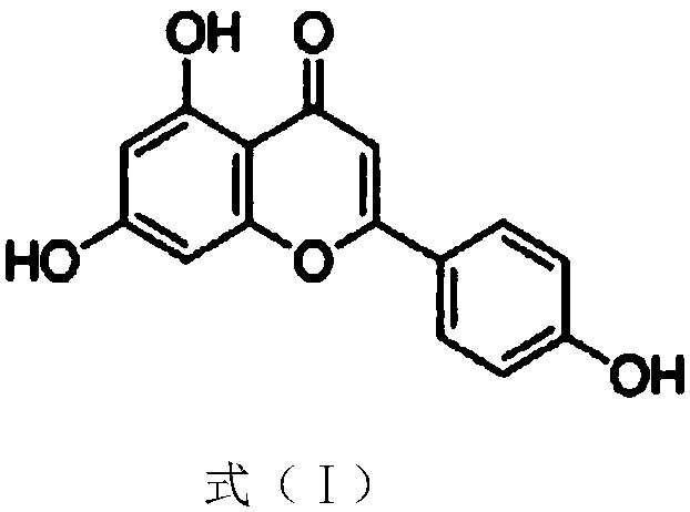 Application of apigenin to preparation of drugs capable of resisting Helicobacter pylori (Hp)