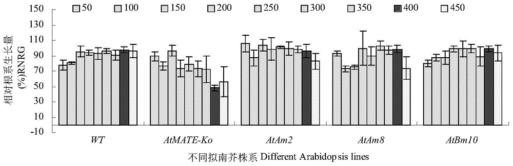 Application of peanut AhFRDL1 gene in improving aluminum toxicity stress resistance of plants