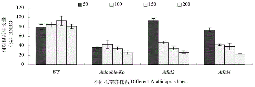 Application of peanut AhFRDL1 gene in improving aluminum toxicity stress resistance of plants