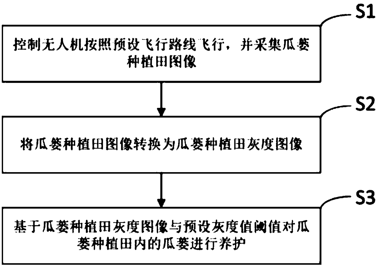 Intelligent planting maintenance management method of Fructus Trichosanthis