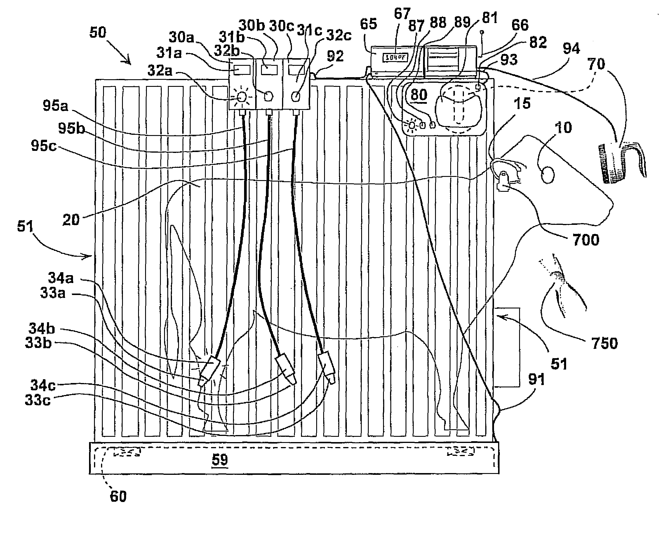Core-Temperature Based Herd Management System and Method